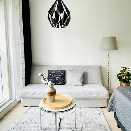 Cozy Studio, Easy Access To And Near Shopping Center Apartment Helsinki